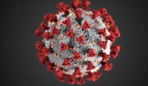 We must release prisoners to lessen the spread of coronavirus
